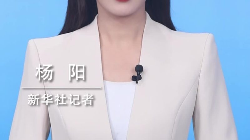商业智能项目：如何通过数据分析驱动业务增长**