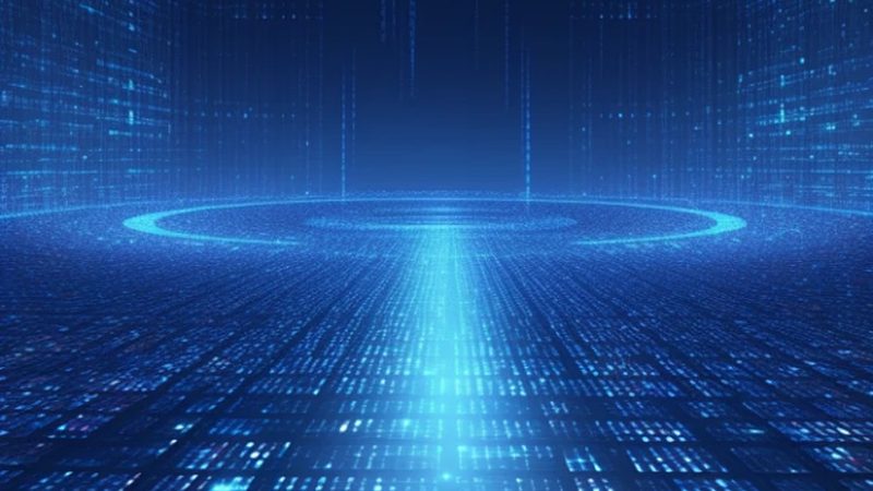 ERP系统实施费与软件费：揭秘背后的差异与考量